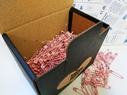 IPCP012720_Pink_4c9cac5d7a910.jpg